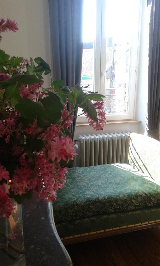 Bed and Breakfast La Sauldre Vailly-sur-Sauldre Экстерьер фото